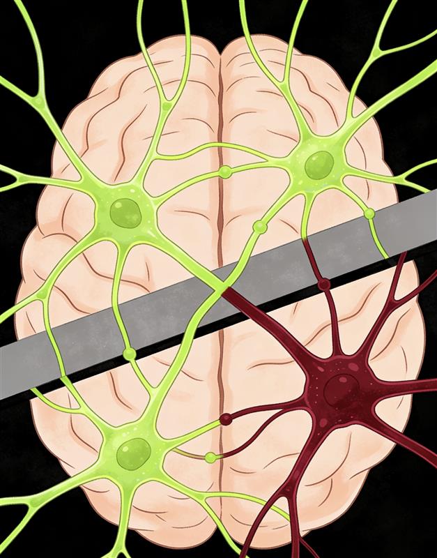 The Winner’s Mindset: Master Your Thoughts, Master Your Life